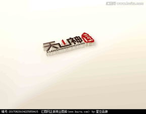 天山神匠 图文Logo设计的艺术探索与汇图网设计悬赏平台